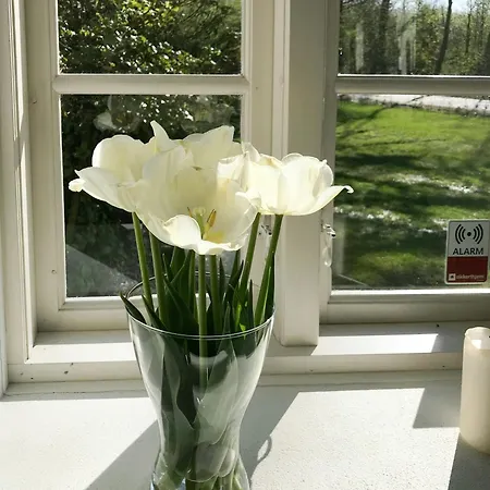 Vakantiehuis Historic House By Kongeaen And Freedom Bridge